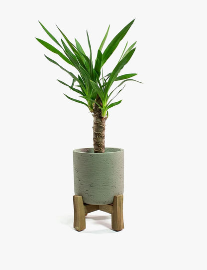 Fotel Drewniane Fotele Chair